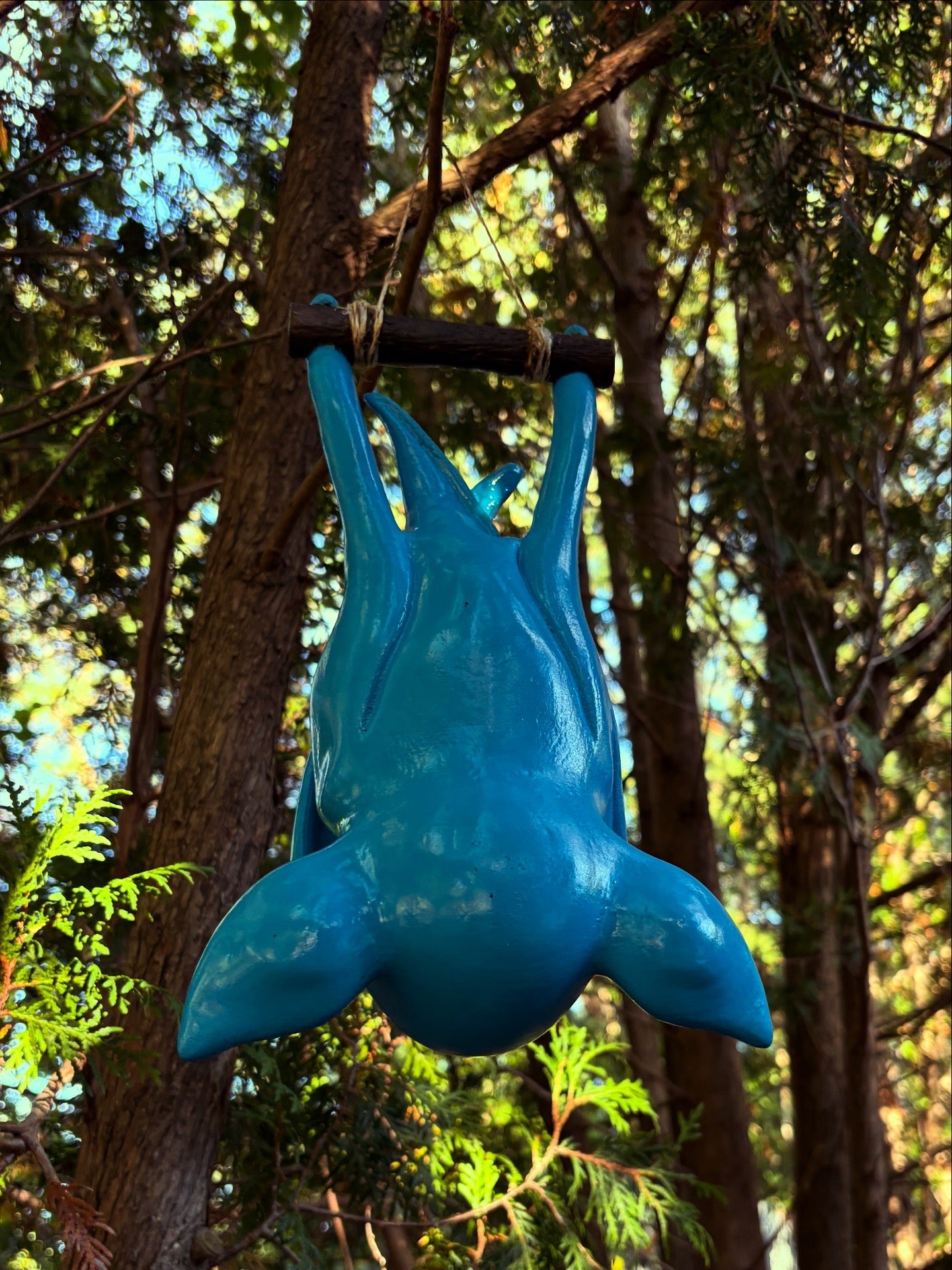 Sleeping Hanging Zubat